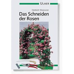 Das Schneiden der Rosen