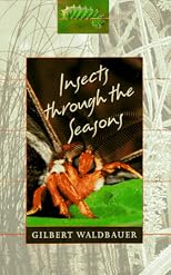 Insects through the Seasons