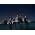 Thumbnail image of Linkin Park