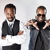 Abbildung von Madcon