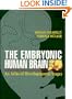 The Embryonic Human Brain: An Atlas of Developmental Stages