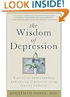 The Wisdom of Depression: A Guide to Understanding and Curing Depression Using Natural Medicine