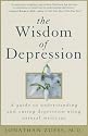 The Wisdom of Depression: A Guide to Understanding and Curing Depression Using Natural Medicine