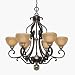6 Light Chandelier