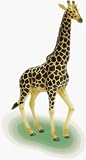 Review Quay  / Giraffe - 4D Puzzle