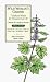 Wild Woman's Garden: 7 Radical Weeds for Women Over 40 (The Garden Remedy Series) (The Garden Remedy Series)