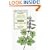 Wild Woman's Garden: 7 Radical Weeds for Women Over 40 (The Garden Remedy Series) (The Garden Remedy Series) (The Garden Remedy Series)