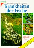 Krankheiten der Fische vorbeugen, erkennen, heilen. Erste Hilfe f�r Aquarienfische