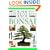 101 Essential Tips: Bonsai