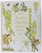Flower Fairies Address Book