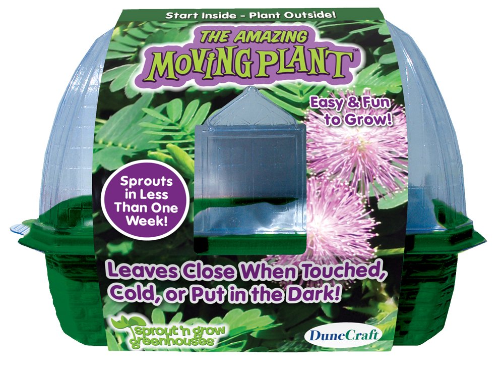Amazon.com: DuneCraft Sprout 'n Grow Greenhouses The Amazing ... Amazon.com: DuneCraft Sprout 'n Grow Greenhouses The Amazing ...