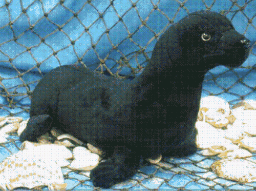 Black Seal 8 Plush Stuffed Animal Toy