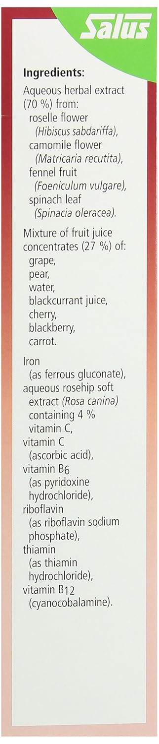 Amazon.com: Floradix Floravital Iron + Herbs Supplement Liquid ...