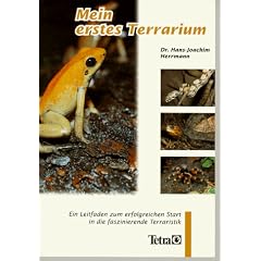 Mein erstes Terrarium