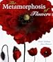 The Metamorphosis of Flowers