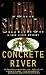Book Concrete River (Jack Liffey Mystery)