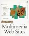 Books : Designing Multimedia Web Sites