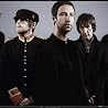 Abbildung von The Rifles