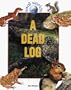 A Dead Log (Small Worlds)
