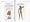 Back Pain (BMA Family Doctor)