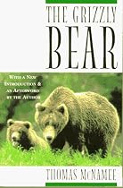 Grizzly Bear