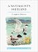 Best Shetland Books