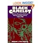 Black Camelot: African-American Culture Heroes in Their Times, 1960-1980