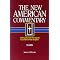 The New American Commentary: New Testement