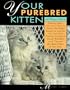 Your Purebred Kitten: A Buyers Guide
