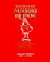 The Best of Nursing Humor, Volume 2: A Collection of Articles, Essays, and Poetry Published in the Nursing Literature