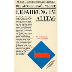 Die au�ergew�hnliche Erfahrung im Alltag: Die Psychologie des flow-Erlebnisses