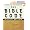 The Bible Code