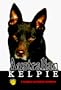 Australian Kelpie (Rare Breed)