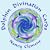 Dolphin Divination Cards