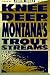 Book Knee Deep in Montana's Trout Streams