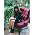 Vignette de Charlotte Gainsbourg