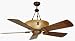 Craftmade Fans OL252AG 54