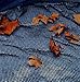 Blue Wave 15-ft Round Leaf Net Above Ground Pool Cover, Black