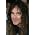 Vignette de Steve Harris