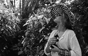 Image of Melody Gardot
