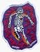 Grateful Dead - Rollerblading Skeleton (Skating) - Embroidered Iron On or Sew On Patch
