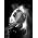 Thumbnail image of Little Boots