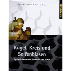 Kugel, Kreis und Seifenblasen: Optimale Formen in Geometrie und Natur
