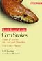 Corn Snakes