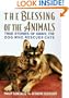 The Blessing of the Animals: True Stories of Ginny, the Dog Who Rescues Cats