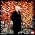 Thumbnail image of Simon Rattle