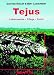 Tejus.