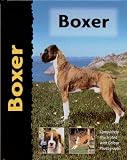 Boxer (Pet Love)