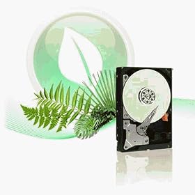 Western Digital 750 GB Caviar Green SATA Intellipower 32 MB Cache Bulk/OEM Desktop Hard Drive WD7500AADS