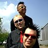 Image of The Toy Dolls